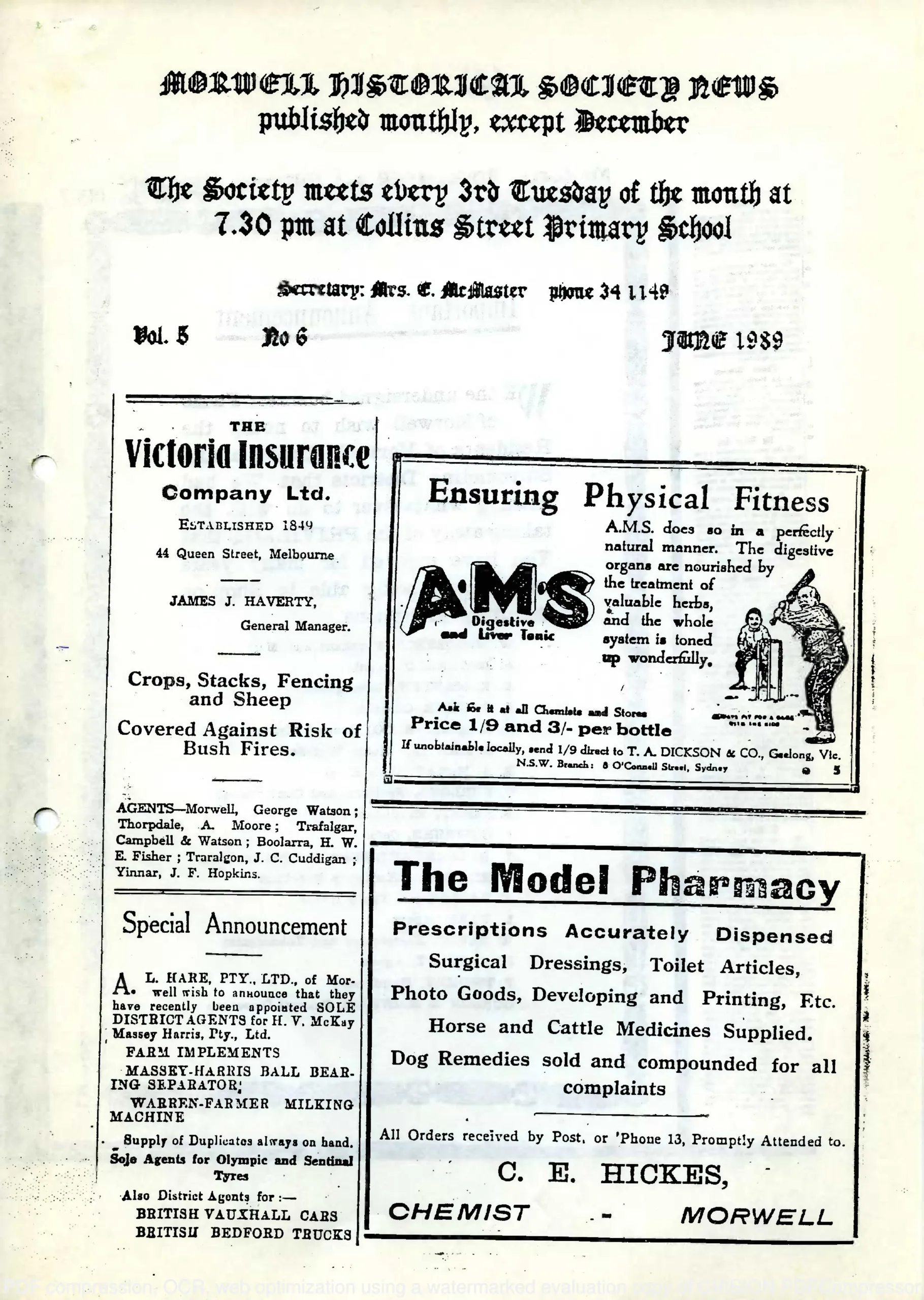 Newsletter June 1989